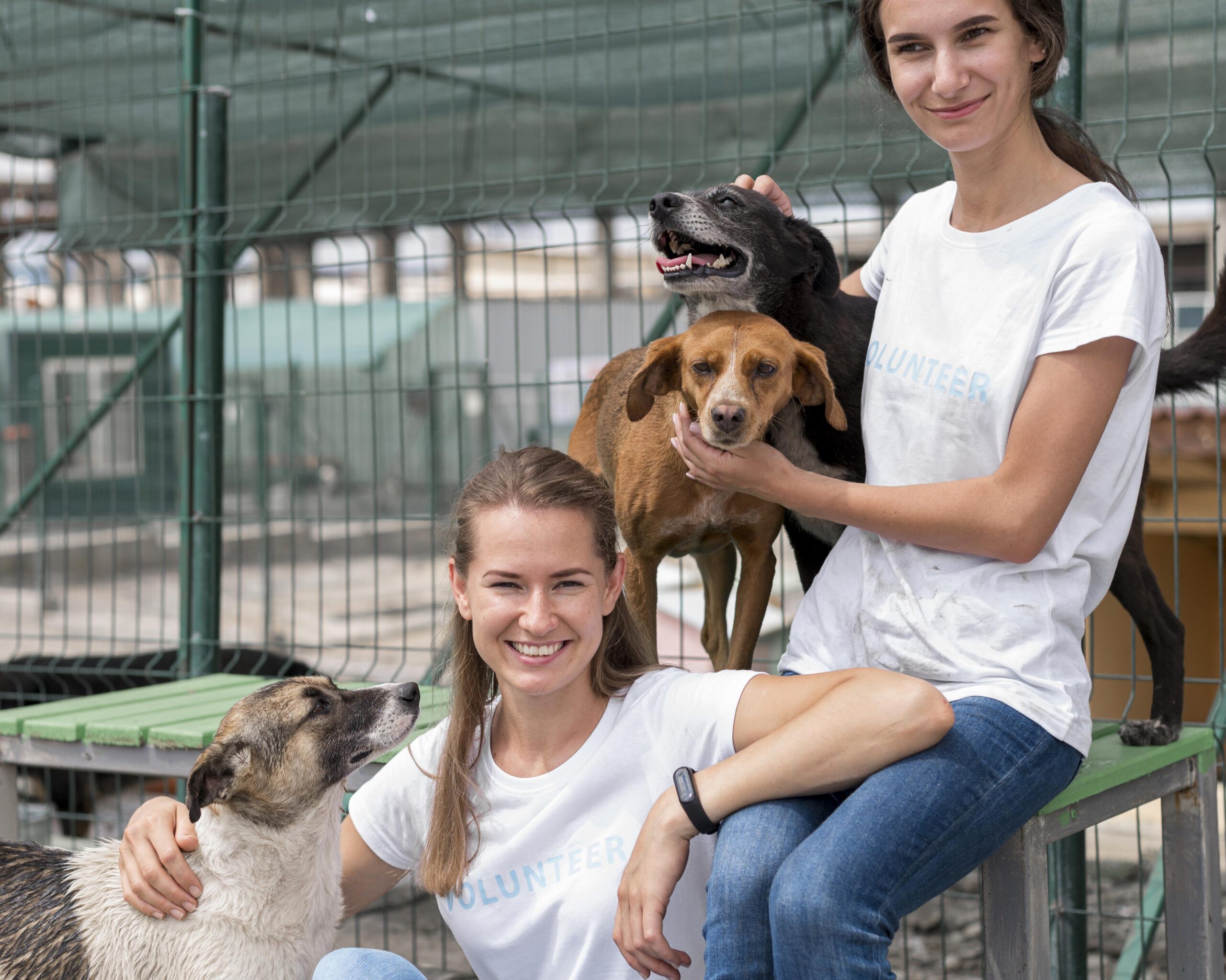 https://rescueroot.org/wp-content/uploads/2025/09/smiley-woman-spending-time-with-cute-rescue-dogs-shelter-scaled.jpg
